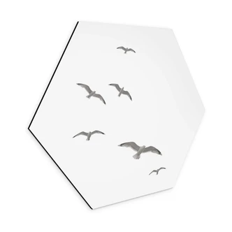 Hexagon Dibond Meeuwen in de Lucht 