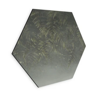 Hexagon Wandbild Farn im Nebelwald in Grün - Ms Tiff - Alu-Dibond 