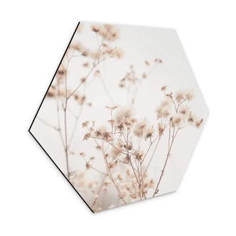 Esagoni in Alu-dibond Colori pastello 