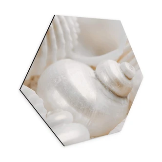 Hexagon Dibond Parelmoer 