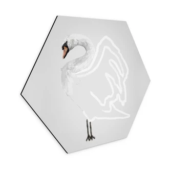 Hexagon Dibond Zwaan illustratie - Roberg 