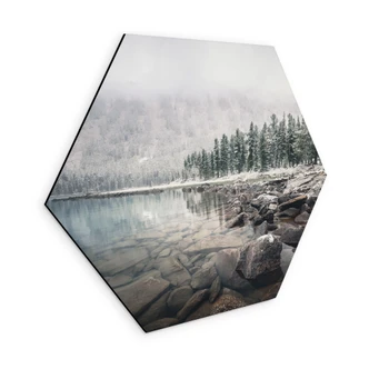 Sekskantet Billede Vinterskov ved søen - Rostovskiy - Alu-Dibond 