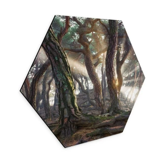 Hexagon Wandbild Heiliger Kiefernwald - Ryu - Alu-Dibond 