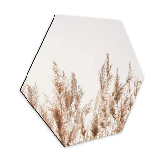 Hexagon Dibond Rietgrassen 