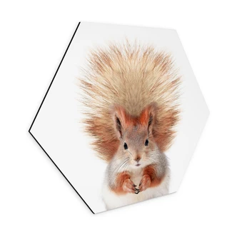 Hexagon Dibond Eekhoorntje - Sisi & Seb 