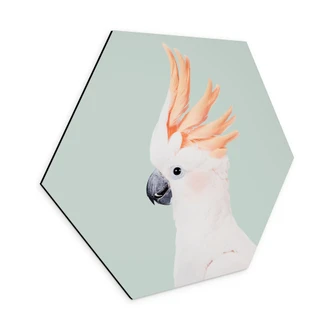 Hexagon Dibond Roze kaketoe dierenportret - Sisi & Seb 