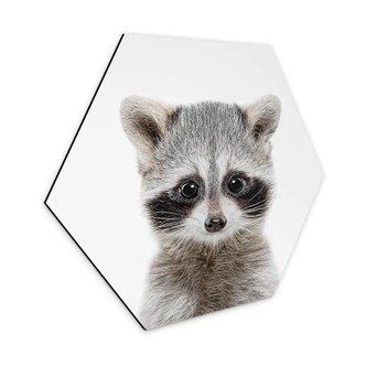 Hexagon Dibond Sisi & Seb - Wasbeertje 