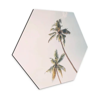 Hexagon Dibond Sisi & Seb - Palmbomen in de Wind 