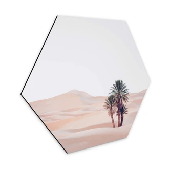 Hexagon Dibond Sisi & Seb - Dreamy Desert 