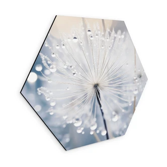 Sekskantet billede Funklende mælkebøtter - Treechild - aluminium dibond  