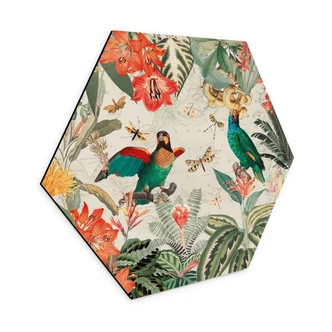 Hexagon Dibond Exotische jungle met papegaaien - UN Designs 