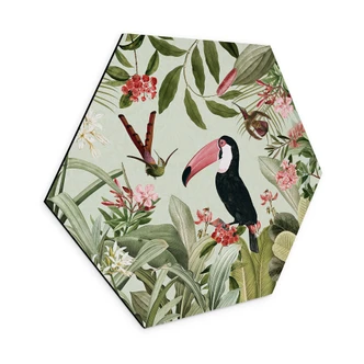 Hexagon Dibond Toekan in een jungleparadijs - UN Designs 