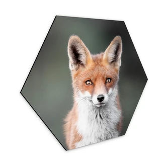 Hexagon Dibond van Duijn - Fox Eyes 