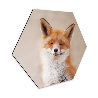 Hexagon Dibond van Duijn - Happy Fox Hexagon Dibond van Duijn - Happy Fox