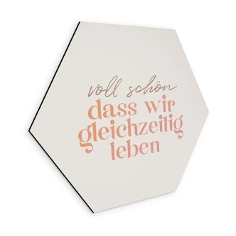 Hexagon Wandbild Voll schön, dass wir gleichzeitig leben - Alu-Dibond 