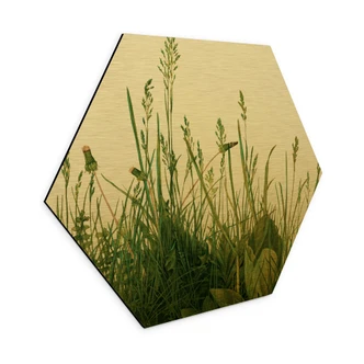 Hexagon - Alu-Dibond Gold - Dürer - Das große Rasenstück 