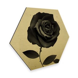 Hexagon Alu-Dibond Goudeffect - Ireland - Fabric Rose 