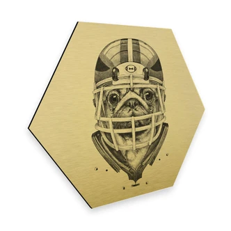 Hexagon - Alu-Dibond goud effect Kools - American Pug Football 