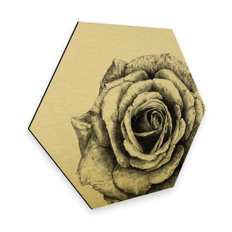 Hexagon - Alu-Dibond Gold effect Kools - Rose 
