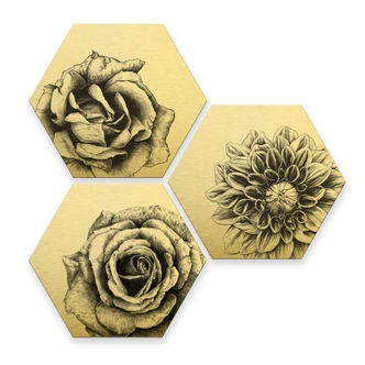 Hexagon Dibond Set Goud Effect - Kools - Flowers 