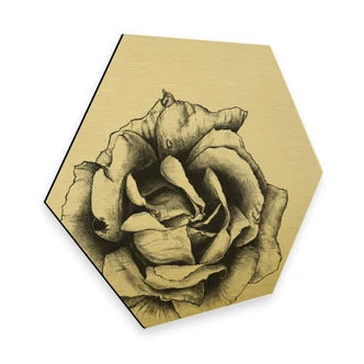 Hexagon - Alu-Dibond Goldeffekt Kools - Thornless 