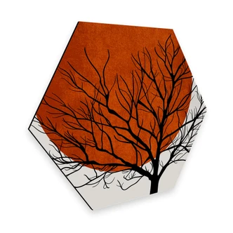 Hexagon Alu-Dibond Kubistika - Warm Sunset 