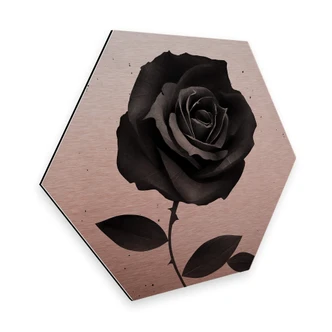 Hexagone - Alu-Dibond effet cuivré Ireland - Fabric Rose 