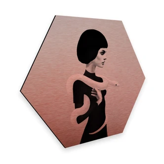 Hexagon Alu-Dibond Kopereffect - Ireland - Only Skin 