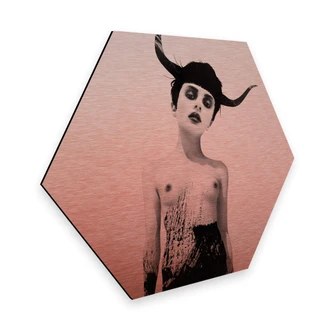 Hexagon Alu-Dibond Kopereffect Ireland - The Sweetest Kill 