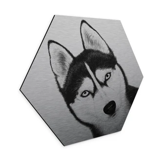 Aluminium Dibond met zilvereffect Siberische husky - Hondenportret - Korenkova - Zeshoek 