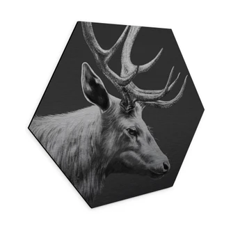 Aluminium Dibond met zilvereffect Hert met gewei zwart en wit - Roberg - Zeshoek Aluminium Dibond met zilvereffect Hert met gewei zwart en wit - Roberg - Zeshoek