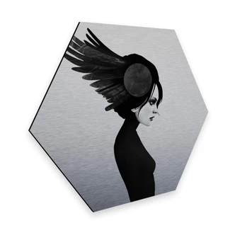 Hexagon Alu-Dibond Zilvereffect Ireland - Amy 