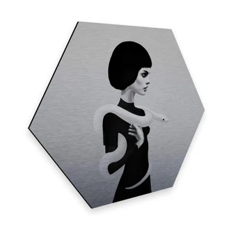 Hexagon - Alu-Dibond-Silbereffekt Ireland - Only Skin 