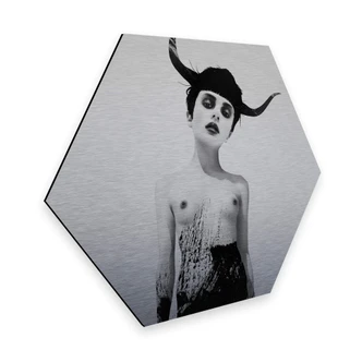 Hexagon Alu-Dibond Zilvereffect Ireland - The Sweetest Kill 