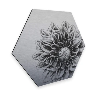 Hexagon - Alu-Dibond Silbereffekt Kools - Dahlia 