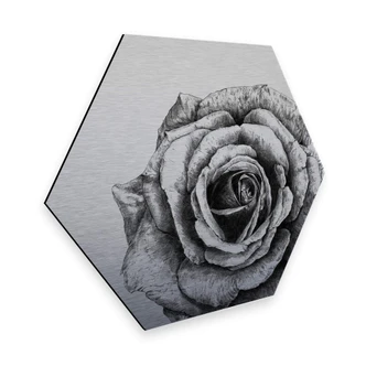 Hexagon - Alu-Dibond Silver effect Kools - Rose 