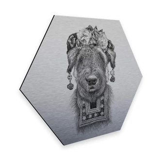 Hexagon - Alu-Dibond Silver effect Kools - Suusi Kahlo 