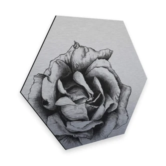 Hexagon - Alu-Dibond zilver effect Kools - Thornless 