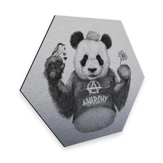 Hexagon - Alu-Dibond zilver effect Kools - Punk Panda 