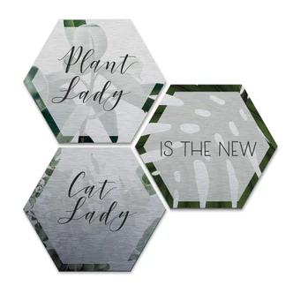 Hexagone - Alu-Dibond-Effet argenté - Plantlady is the new Catlady (Set de 3) 