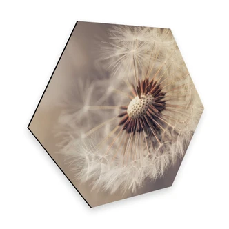 Hexagon - Alu-Dibond Delgado - Paardebloem 