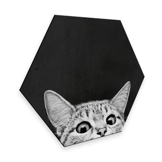 Hexagon - Alu-Dibond Graves - Are you asleep yet 