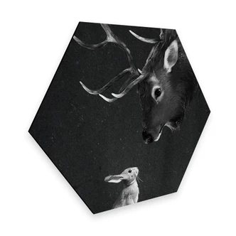 Hexagon - Alu-Dibond Graves - Deer and Rabbit 