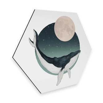 Hexagon - Alu-Dibond Graves - Humpback 