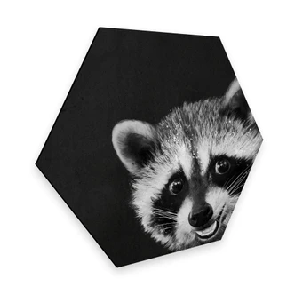 Hexagon - Alu-Dibond Graves - Wasbeer 