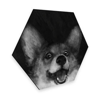 Hexagon - Alu-Dibond Graves - Sausage Fox Corgi 