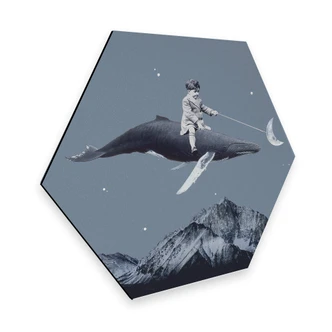 Hexagon - Alu-Dibond Léon - Aim for the moon 