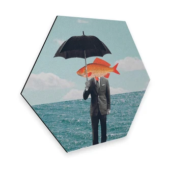 Hexagon Alu-Dibond Léon - Can't get wet 