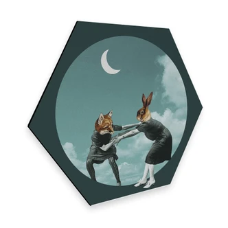Hexagon - Alu-Dibond Léon - Chase the night 