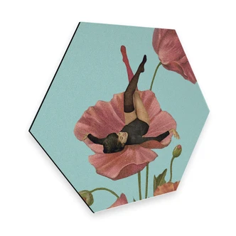 Hexagon Alu-Dibond - Léon - Colourful Dreamer 